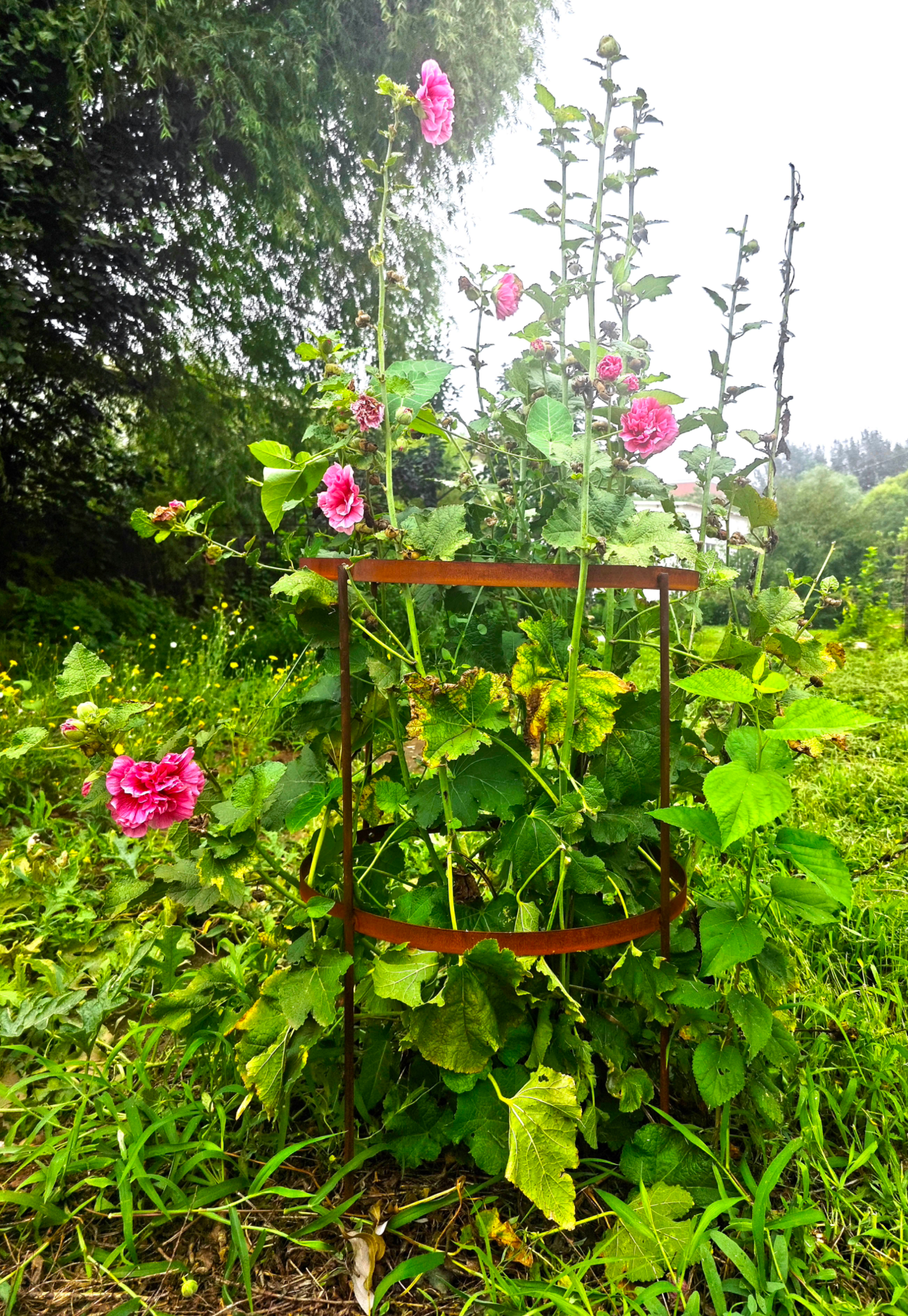 Garten Klettergerüst Rankhilfe Rost aus Metall , Ca.Höhe 80cm