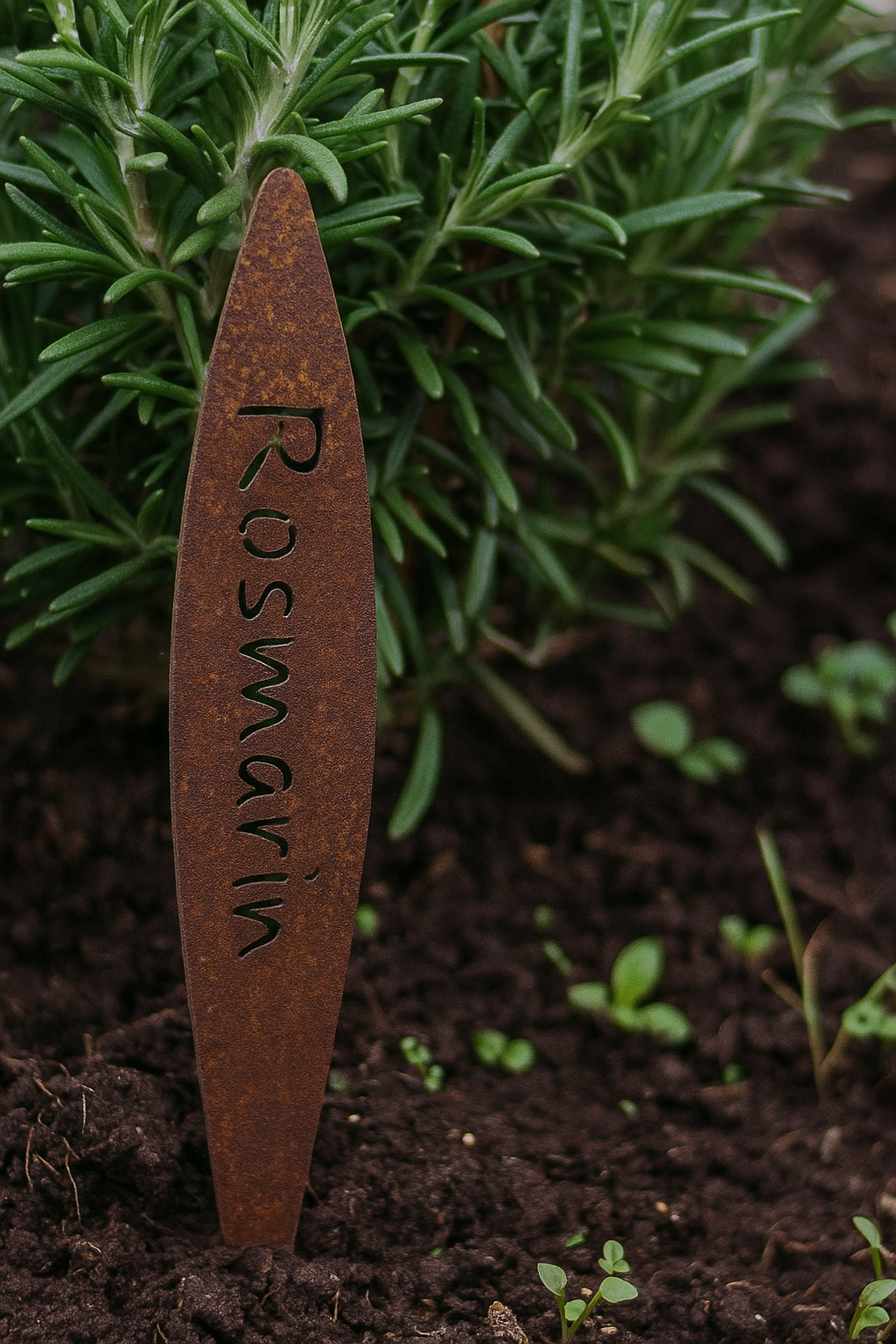 Set of 9 herb signs rust