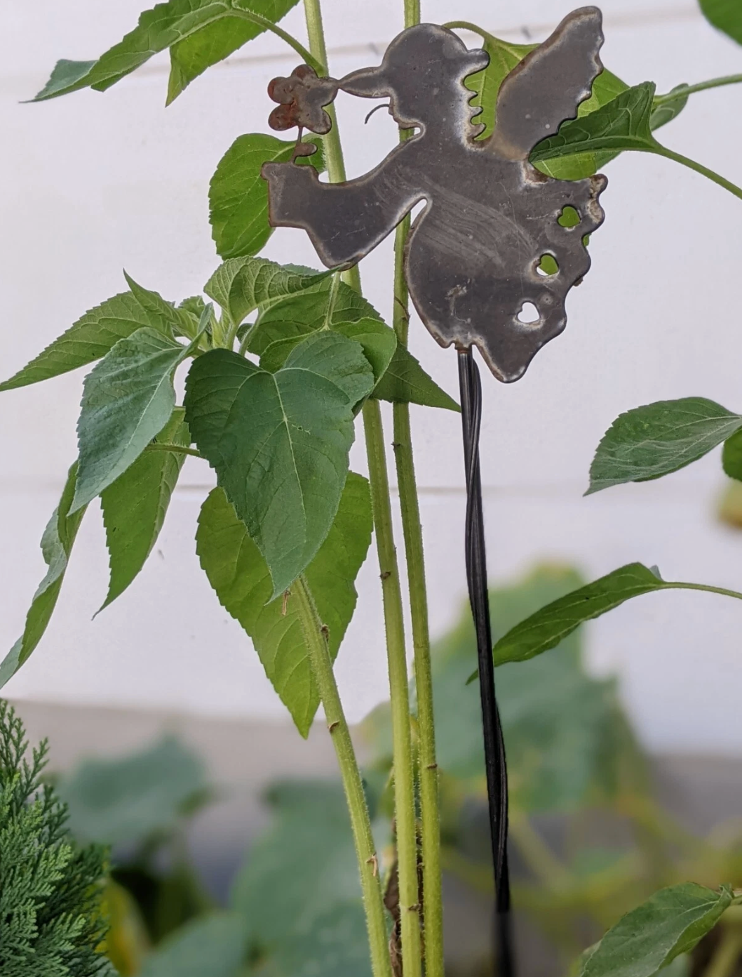 B. Wahl Gartenstecker Beetstecker Gartendeko Schwarz,Höhe :72cm,Breite:12cm