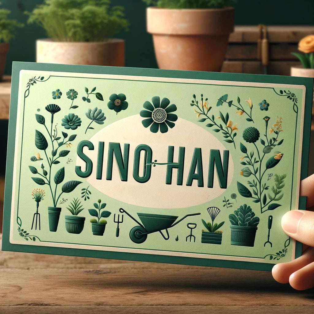 Sino Han Gift Voucher