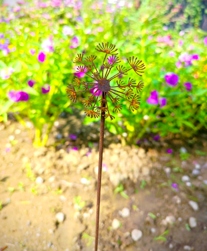 Rust garden stake dandelion dandelion clock