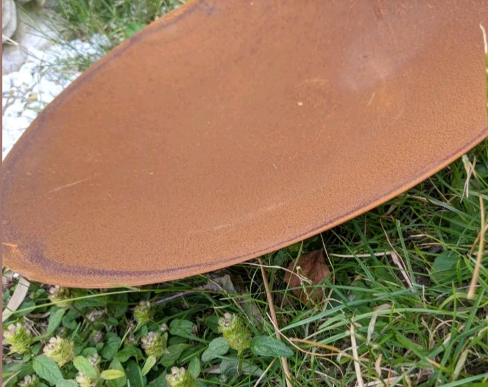 Edelrost garden fire bowl plant bowl rust made of metal with cone flowers 