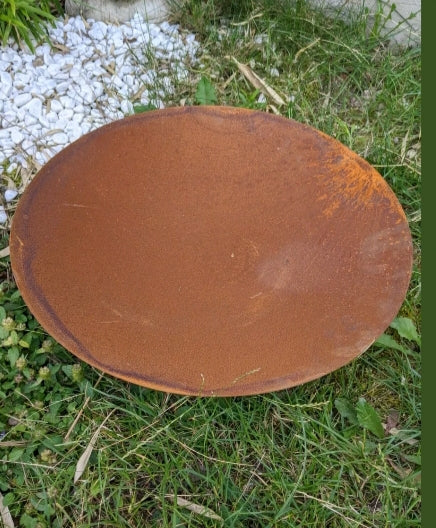 Edelrost garden fire bowl plant bowl rust made of metal with cone flowers 