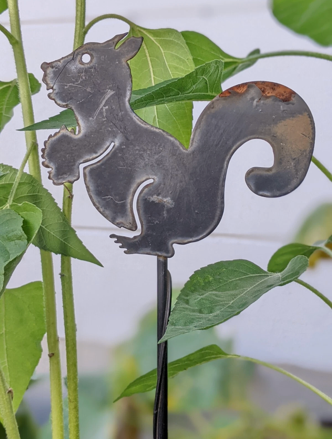 B. Wahl Gartenstecker Beetstecker  Schwarz，Höhe ：72cm，Breite：14cm