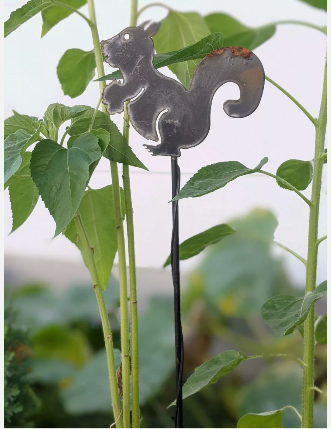 B. Wahl Gartenstecker Beetstecker  Schwarz，Höhe ：72cm，Breite：14cm