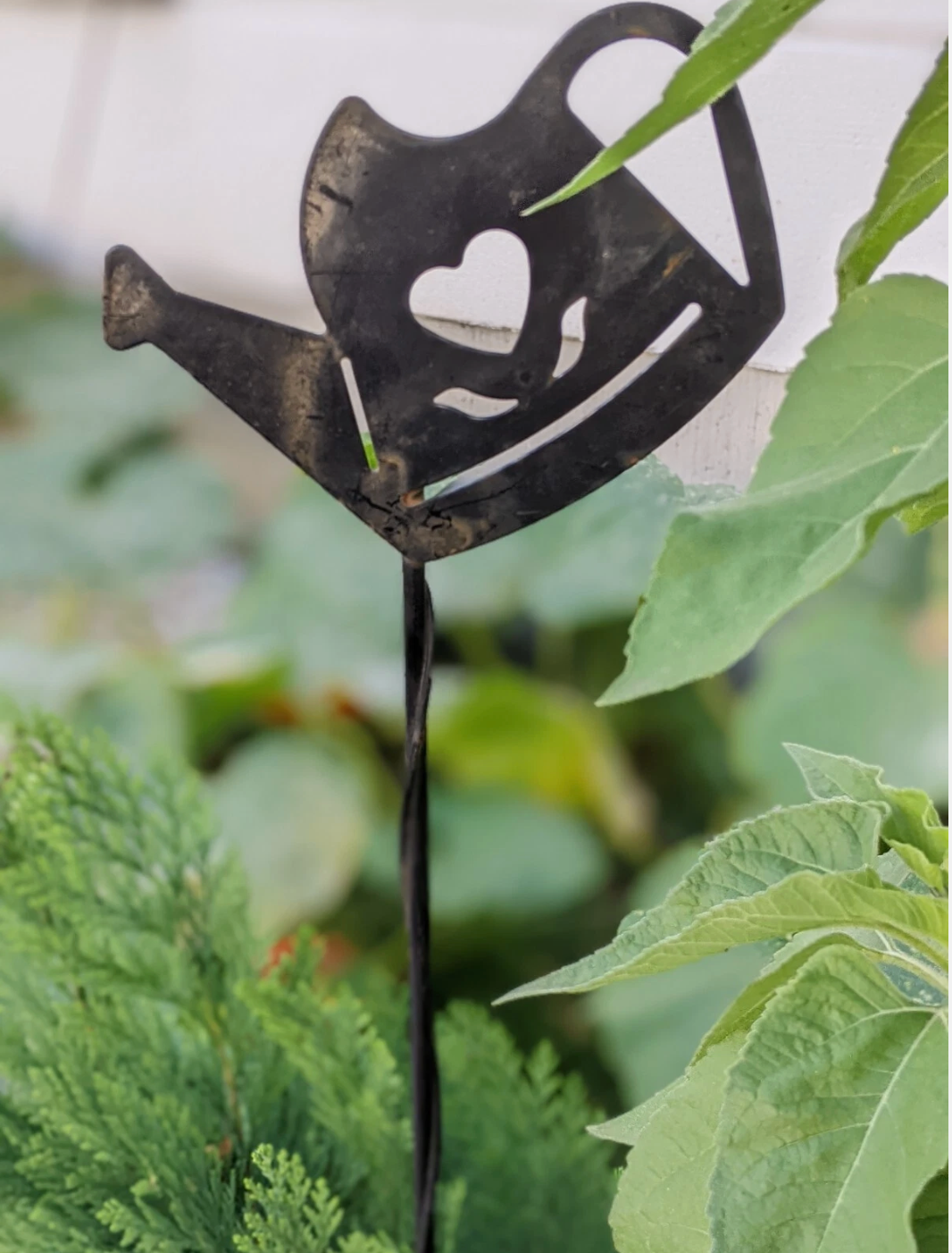 B. Wahl Gartenstecker Beetstecker  Schwarz，Höhe ：72cm，Breite：14cm