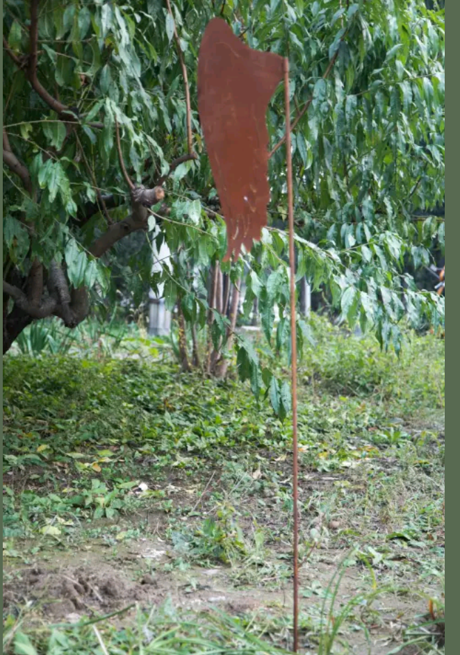 2pcs. Patina garden stake angel wings rust angel wings H121*17 and 165*23cm