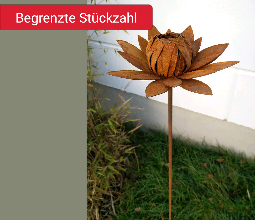 Garden stake, garden flowers, bed stake rust, garden decoration, flowers, metal 110cm 031452