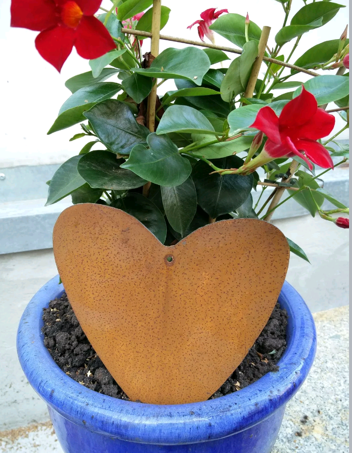 Noble rust heart, hanging garden heart, rust, garden decoration, rust heart metal