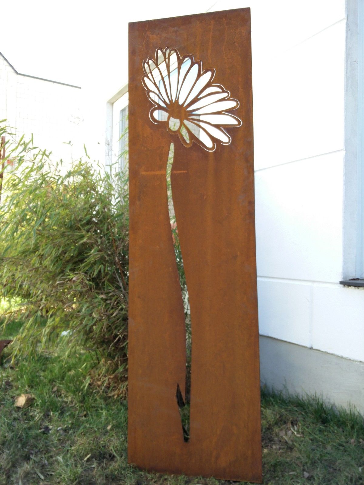 Privacy screen camomile flower 031505