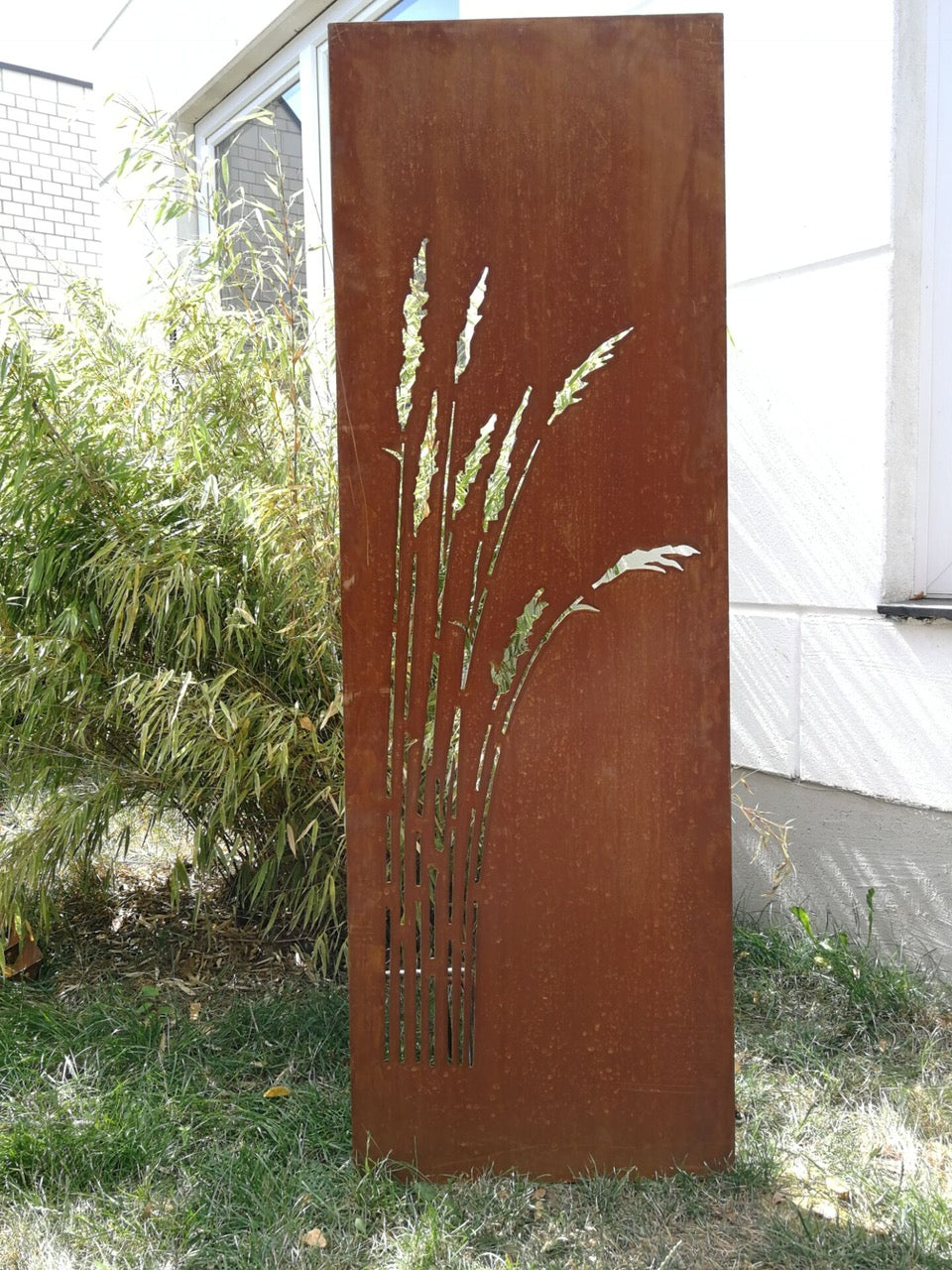 Reed privacy screen